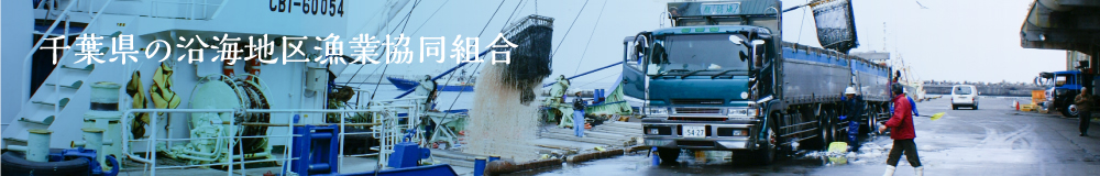 千葉県の漁業協同組合